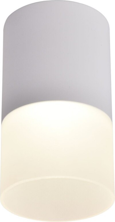 Накладной светильник Favourite Naram 3069-1C